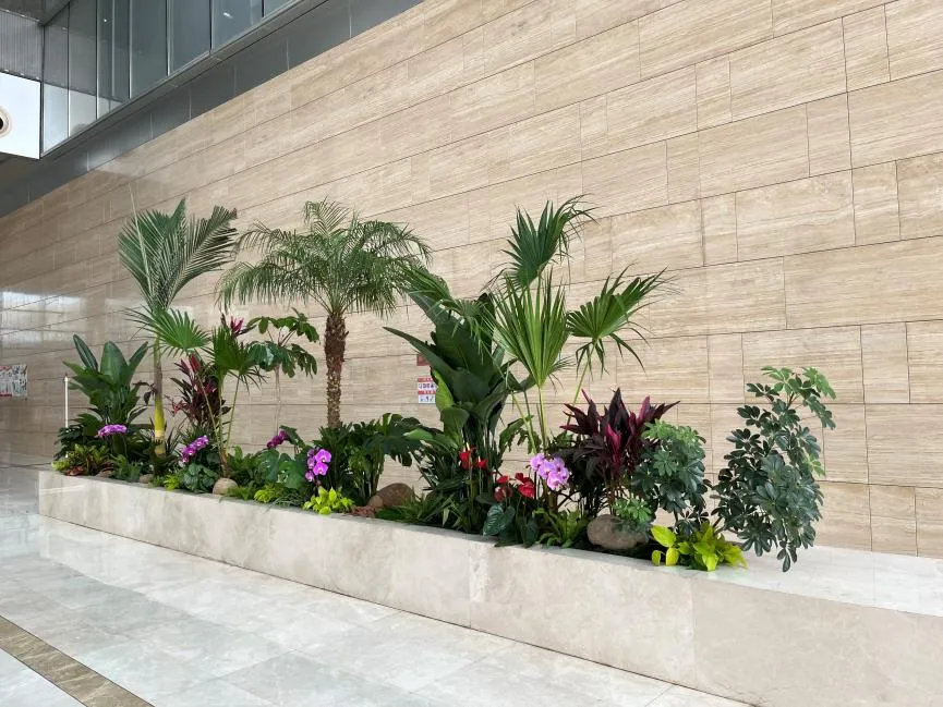 宁波杭州湾植物出租哪家强？这家公司超值得一看