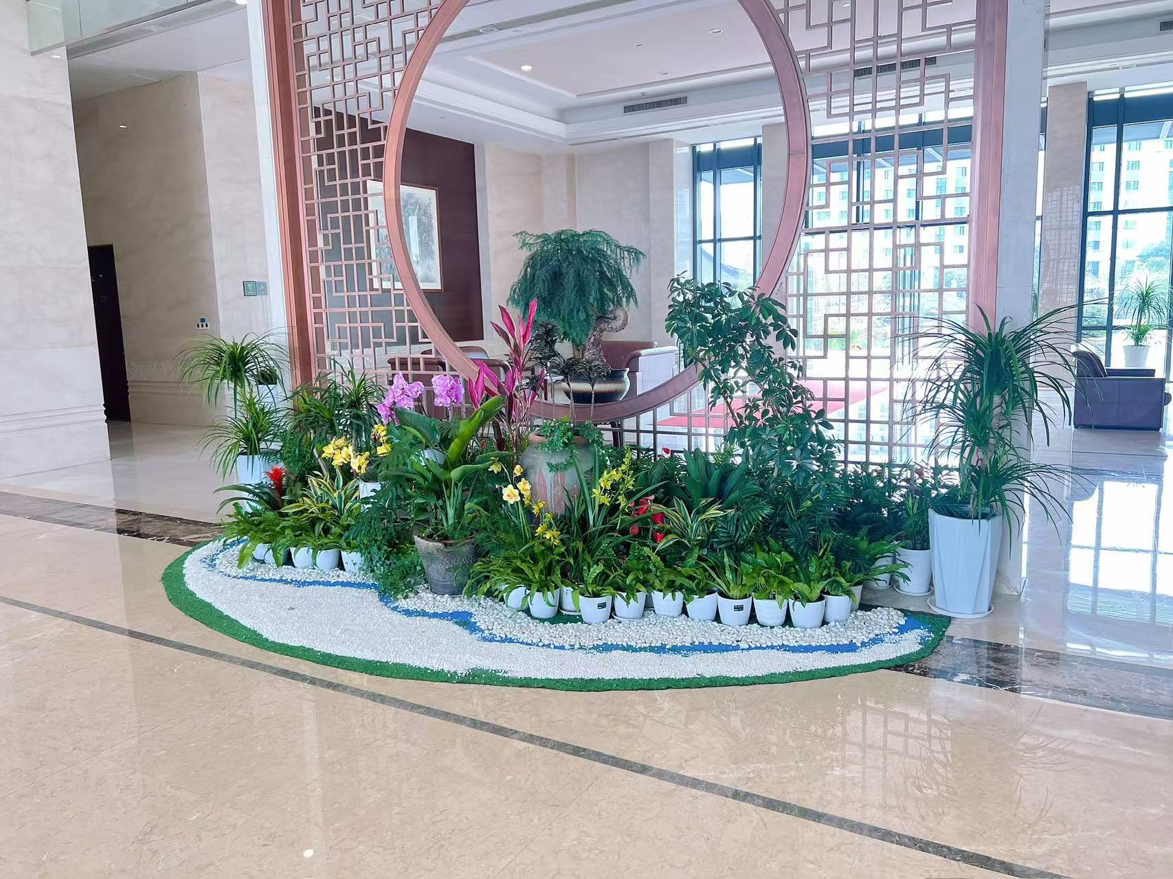 快来租宁波镇海盆景，畅享自然之美